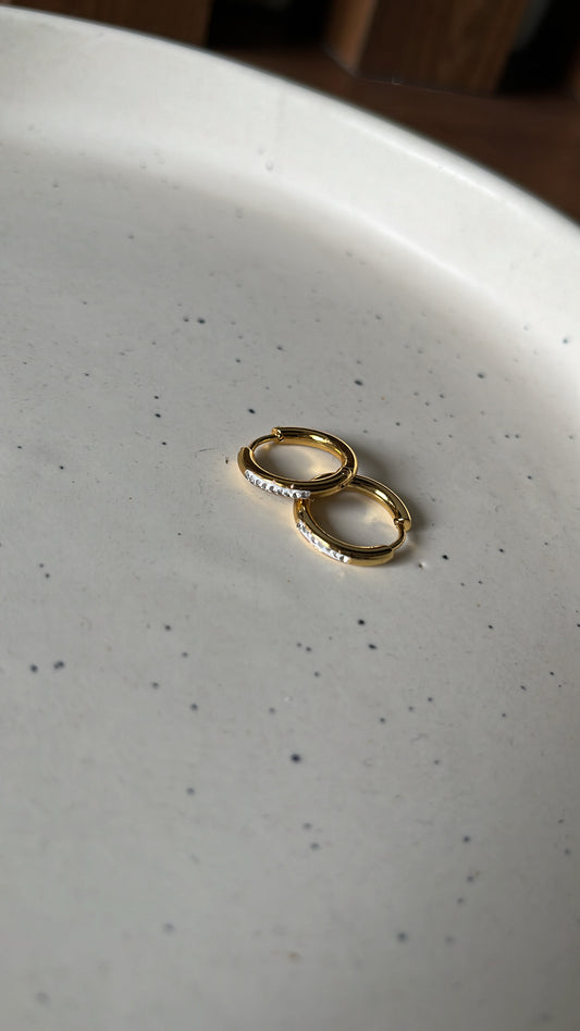 Small Gold Hoops