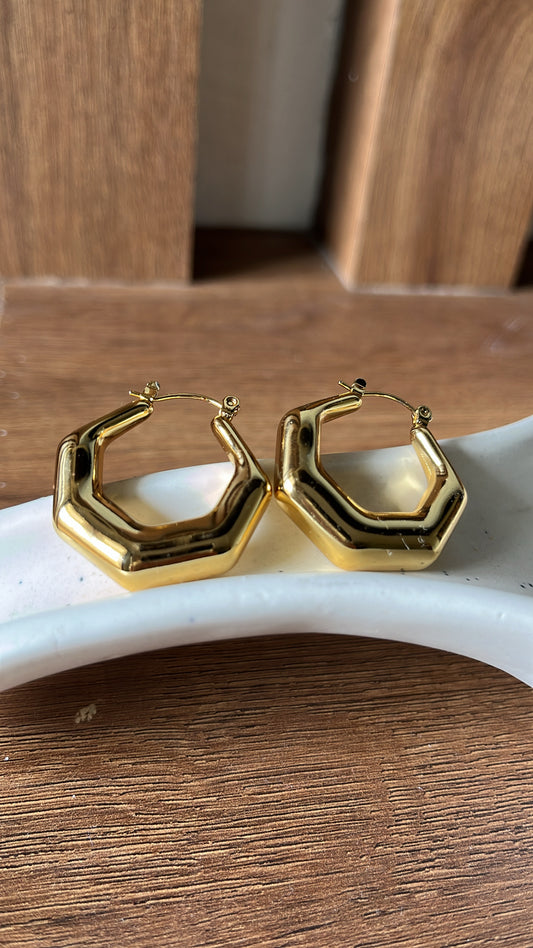 Chunky Earrings
